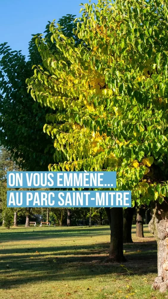 𝗢𝗻 𝘃𝗼𝘂𝘀 𝗲𝗺𝗺𝗲̀𝗻𝗲 𝗮𝘂 𝗣𝗮𝗿𝗰 𝗦𝗮𝗶𝗻𝘁-𝗠𝗶𝘁𝗿𝗲 ! Ce parc abrite un jardin japonais, un arboretum et de… 