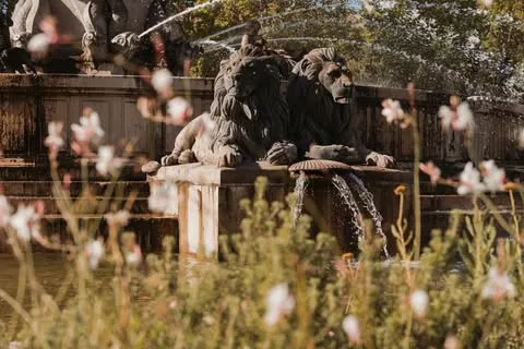 ☀️ On vous souhaite un doux week-end ensoleillé dans notre belle ville d’Aix-en-Provence !   #aix #aixmaville #aixenprov… 