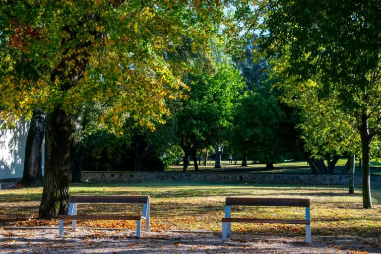 𝗙𝗲𝗿𝗺𝗲𝘁𝘂𝗿𝗲 𝗱𝗲𝘀 𝗽𝗮𝗿𝗰𝘀 𝗲𝘁 𝗱𝗲𝘀 𝗰𝗶𝗺𝗲𝘁𝗶𝗲̀𝗿𝗲𝘀  Pour des raisons de sécurité, les parcs et les c… 