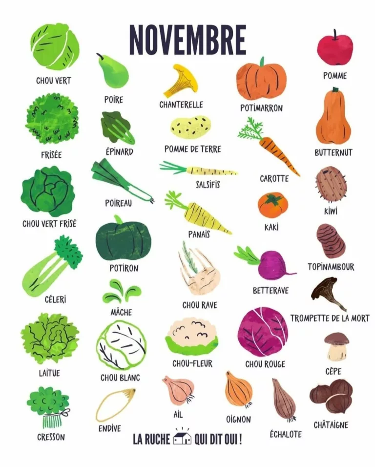 #novembre 🥦 Novembre sonne à la porte avec dans sa besace de bons légumes et fruits nourrissants pour aider le corps à … 