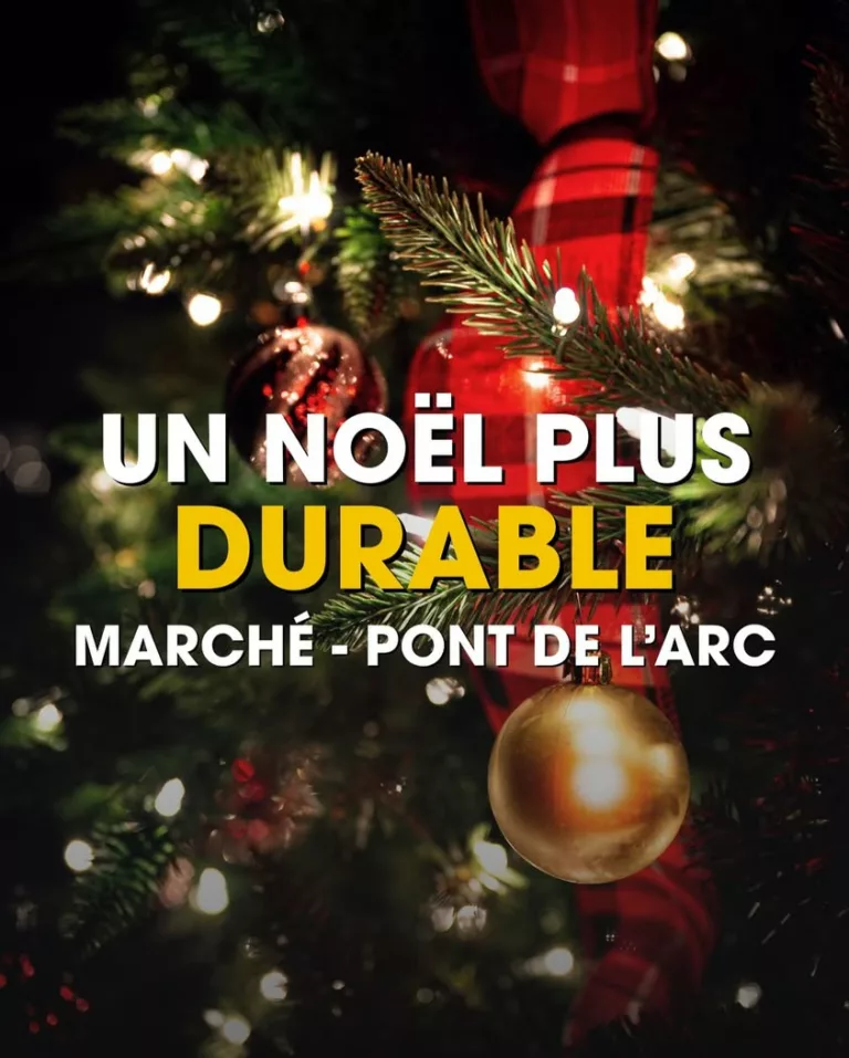 🎄 𝗨𝗻 𝗡𝗼𝗲̈𝗹 𝗽𝗹𝘂𝘀 𝗱𝘂𝗿𝗮𝗯𝗹𝗲 𝗮̀ 𝗔𝗶𝘅 !  Le dimanche 9 novembre, l’avenue Fortunée Ferrini se transforme… 