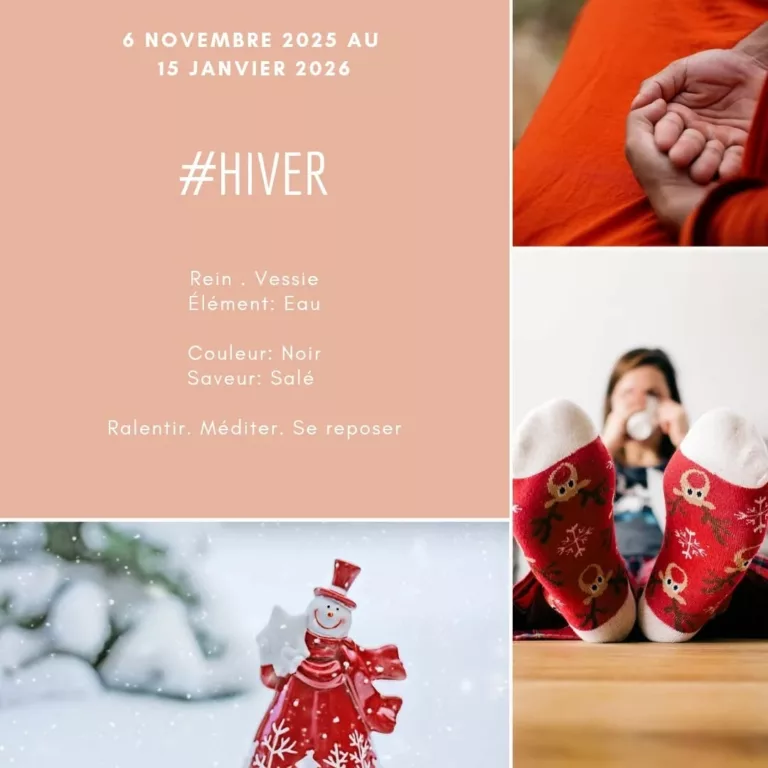 #hiverchinois ☃️ Nous entamons la saison hivernale en 7 novembre. C’est la période la plus yin de l’année où l’on ralent… 
