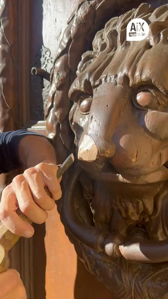 𝗟𝗮 𝗽𝗼𝗿𝘁𝗲 𝗱𝗲 𝗹𝗮 𝗺𝗮𝗶𝗿𝗶𝗲 𝗿𝗲𝘁𝗿𝗼𝘂𝘃𝗲 𝘀𝗮 𝗯𝗲𝗮𝘂𝘁𝗲́ La cause de l’accident ayant endommagé le nez… 