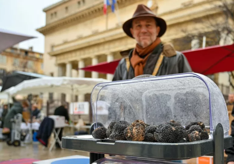 𝗟𝗲 𝗺𝗮𝗿𝗰𝗵𝗲́ 𝗮𝘂𝘅 𝘁𝗿𝘂𝗳𝗳𝗲𝘀 𝗲𝘀𝘁 𝗱𝗲 𝗿𝗲𝘁𝗼𝘂𝗿 𝗮̀ 𝗔𝗶𝘅-𝗲𝗻-𝗣𝗿𝗼𝘃𝗲𝗻𝗰𝗲 !  Produits d’excepti… 