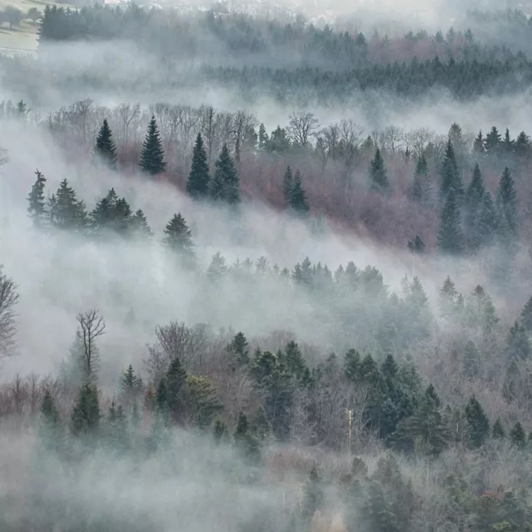 #solsticedhiver Le 21 décembre marque le solistice d&rsquo;hiver 🌝 C&rsquo;est la journée est la plus courte (et la nuit la plus lo… 
