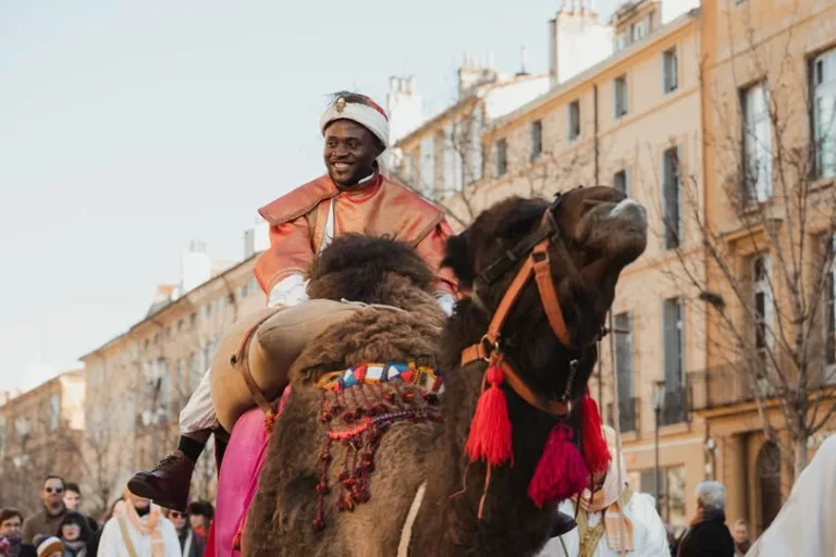 ✨ 𝗥𝗲𝘁𝗼𝘂𝗿 𝗲𝗻 𝗶𝗺𝗮𝗴𝗲𝘀 𝘀𝘂𝗿 𝗹𝗮 𝗠𝗮𝗿𝗰𝗵𝗲 𝗱𝗲𝘀 𝗥𝗼𝗶𝘀 La tradition provençale a une nouvelle fois pr… 