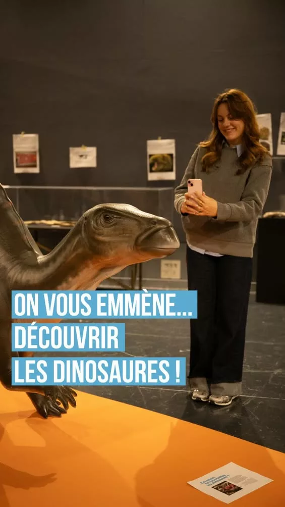 𝗠𝗮𝗿𝗶𝗲 𝘃𝗼𝘂𝘀 𝗲𝗺𝗺𝗲̀𝗻𝗲 𝘀𝘂𝗿 𝗹𝗲𝘀 𝘁𝗿𝗮𝗰𝗲𝘀 𝗱𝗲𝘀 𝗱𝗶𝗻𝗼𝘀𝗮𝘂𝗿𝗲𝘀 𝗱𝗲 𝗣𝗿𝗼𝘃𝗲𝗻𝗰𝗲 ! À la Ga… 