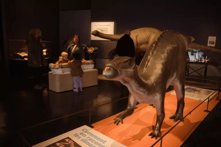 🦖 𝗗𝗶𝗻𝗼𝘀𝗮𝘂𝗿𝗲𝘀 𝗱𝗲 𝗣𝗿𝗼𝘃𝗲𝗻𝗰𝗲 : 𝘂𝗻𝗲 𝗲𝘅𝗽𝗼𝘀𝗶𝘁𝗶𝗼𝗻 𝗽𝗼𝘂𝗿 𝗽𝗲𝘁𝗶𝘁𝘀 𝗲𝘁 𝗴𝗿𝗮𝗻𝗱𝘀 Et s… 