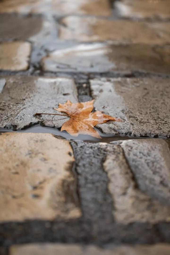 ⚠️ Le département des Bouches-du-Rhône passe en vigilance jaune en cette fin de journée. – Vigilance jaune pluie-inondat… 