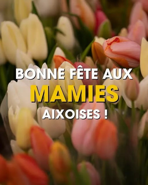 👵💐 𝗙𝗲̂𝘁𝗲 𝗱𝗲𝘀 𝗠𝗮𝗺𝗶𝗲𝘀 𝗮̀ 𝗔𝗶𝘅-𝗲𝗻-𝗣𝗿𝗼𝘃𝗲𝗻𝗰𝗲 À l’occasion de la Fête des Mamies, nous avons captu… 
