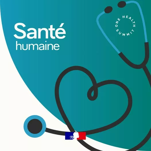 #OneHealth | 🌍 L’approche « One Health » ou « Une seule Santé », tient compte des liens complexes entre la santé animal… 