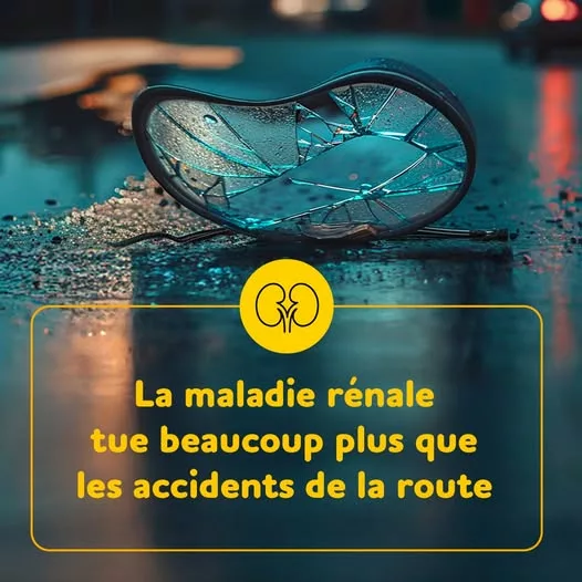 🩺 Journée mondiale du rein 2026 – 6 millions de personnes vivent avec une maladie rénale en France. Et pourtant, 90% d’… 