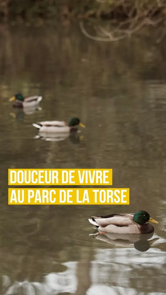 On vous souhaite une belle journée 💚 