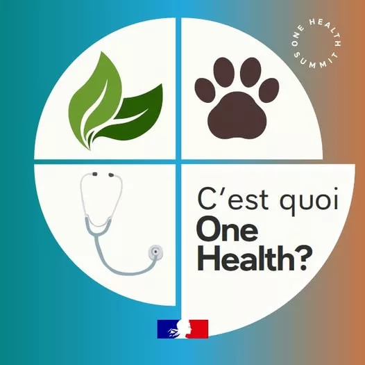 #OneHealthSummit : un sommet d&rsquo;actions et de solutions 💡  Le 7 avril 2026 à Lyon, à l’occasion de la Journée mondiale d… 
