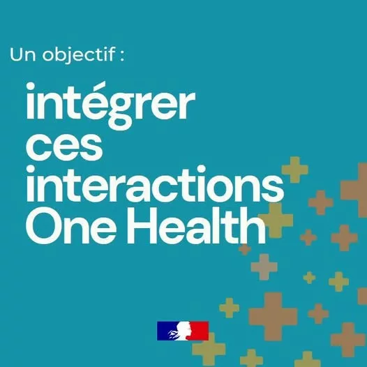 🌍 L&rsquo;approche #OneHealth, ou Une seule santé, repose sur une idée simple : la santé animale et humaine, mais aussi celle… 