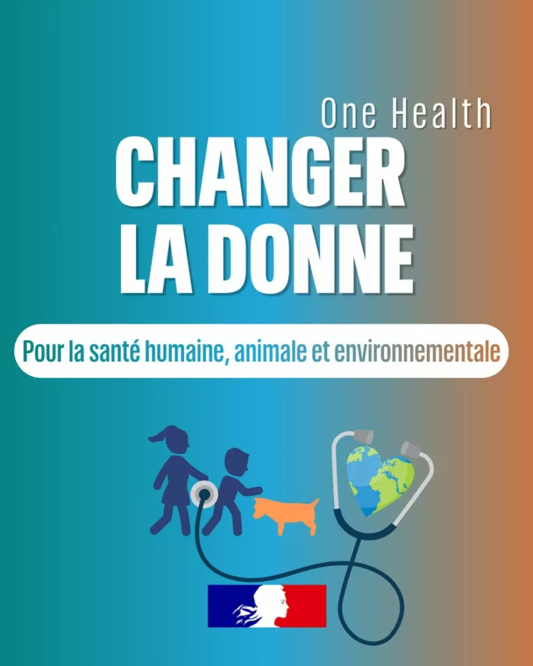 📆 Journée mondiale de la #santé | 📍Aujourd&rsquo;hui à Lyon la France réunit tous les acteurs impliqués dans l&rsquo;accélération… 