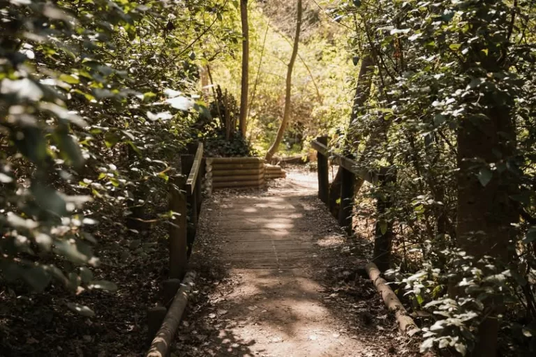 🌿 𝗟𝗲 𝗣𝗮𝗿𝗰 𝗡𝗮𝘁𝘂𝗿𝗲𝗹 𝗨𝗿𝗯𝗮𝗶𝗻 𝗱’𝗔𝗶𝘅 Aix-en-Provence a créé un Parc Naturel Urbain (PNU) de 4,7 km qui… 