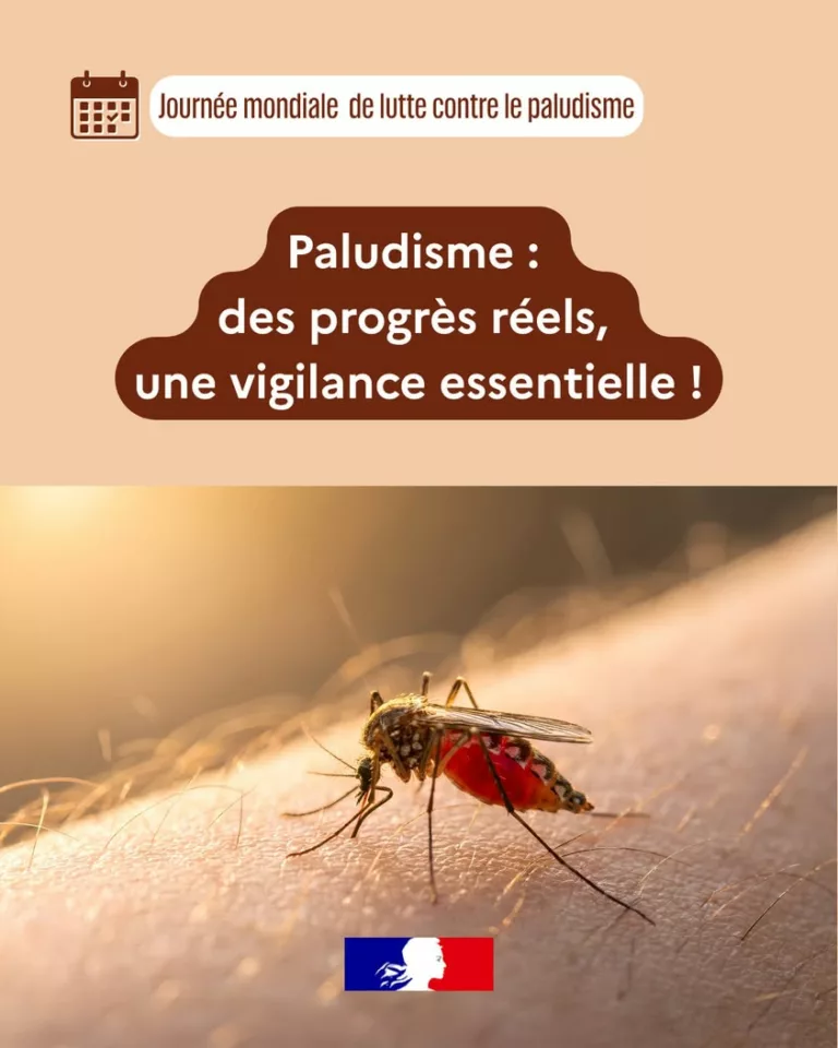 📆 25 avril Journée mondiale de lutte contre le #paludisme | La mobilisation internationale porte ses fruits  ✅ En 2024… 
