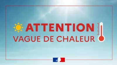 Vague de chaleur : adoptons les bons réflexes pour protéger notre santé 