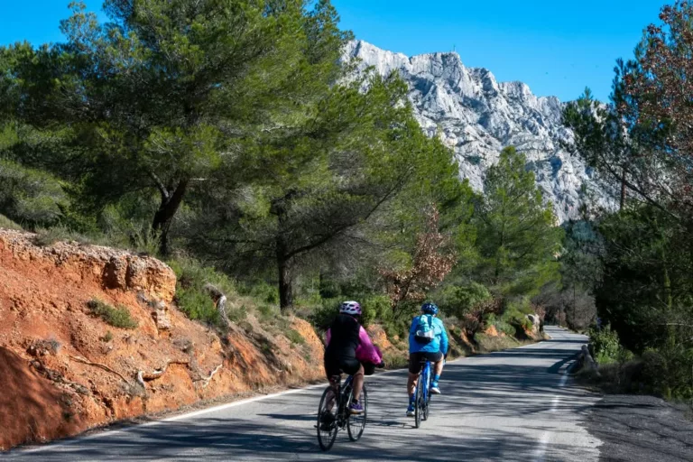 🌳 𝗠𝗮𝘀𝘀𝗶𝗳𝘀 𝗳𝗼𝗿𝗲𝘀𝘁𝗶𝗲𝗿𝘀 : 𝗹𝗮 𝗿𝗲́𝗴𝗹𝗲𝗺𝗲𝗻𝘁𝗮𝘁𝗶𝗼𝗻 𝗲𝘀𝘁𝗶𝘃𝗮𝗹𝗲 𝗲𝗻𝘁𝗿𝗲 𝗲𝗻 𝘃𝗶𝗴𝘂𝗲�… 