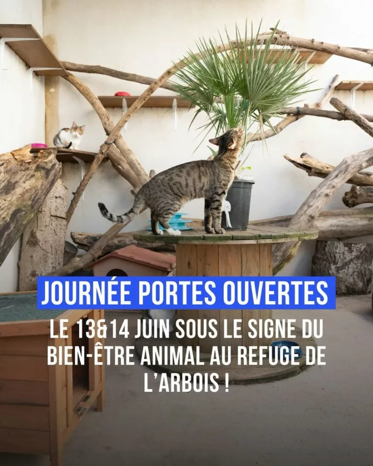 🐾 𝗟𝗲 𝗿𝗲𝗳𝘂𝗴𝗲 𝗱𝗲 𝗹’𝗔𝗿𝗯𝗼𝗶𝘀 𝗼𝘂𝘃𝗿𝗲 𝘀𝗲𝘀 𝗽𝗼𝗿𝘁𝗲𝘀 Les 13 et 14 juin, rendez-vous pour deux journé… 