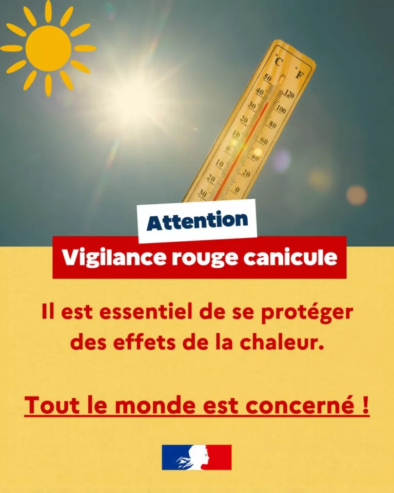 #Canicule | À partir d&rsquo;aujourd&rsquo;hui, 35 départements sont classés en vigilance rouge canicule par @meteofrance ⚠ Tout le… 