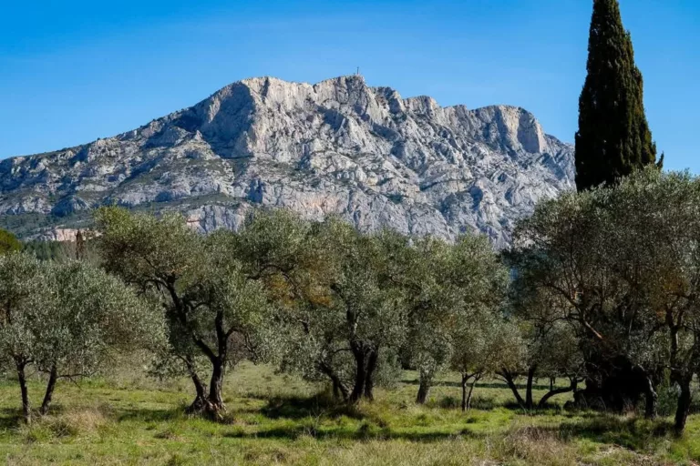 🌳  𝗙𝗲𝗿𝗺𝗲𝘁𝘂𝗿𝗲 𝗱𝗲𝘀 𝗺𝗮𝘀𝘀𝗶𝗳𝘀 𝗳𝗼𝗿𝗲𝘀𝘁𝗶𝗲𝗿𝘀 𝗱𝗲𝘀 𝗕𝗼𝘂𝗰𝗵𝗲𝘀-𝗱𝘂-𝗥𝗵𝗼̂𝗻𝗲 𝗺𝗲𝗿𝗰𝗿𝗲𝗱�… 