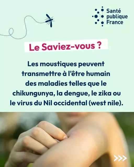 🦟Premier cas autochtone d’infection à virus du Nil Occidental (ou West Nile Virus) dans les Pyrénées-Orientales (Occita… 