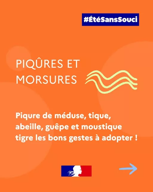 #ÉtéSansSouci ☀ | Piqûres et morsures : les bons gestes face aux méduses, tiques, abeilles, guêpes, frelons et moustique… 