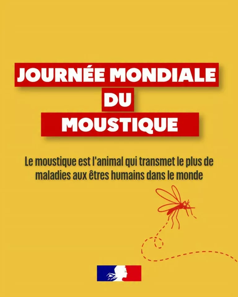 #JournéeMondiale  | 🦟 Journée mondiale du moustique Chaque année, les moustiques sont responsables de la transmission d… 
