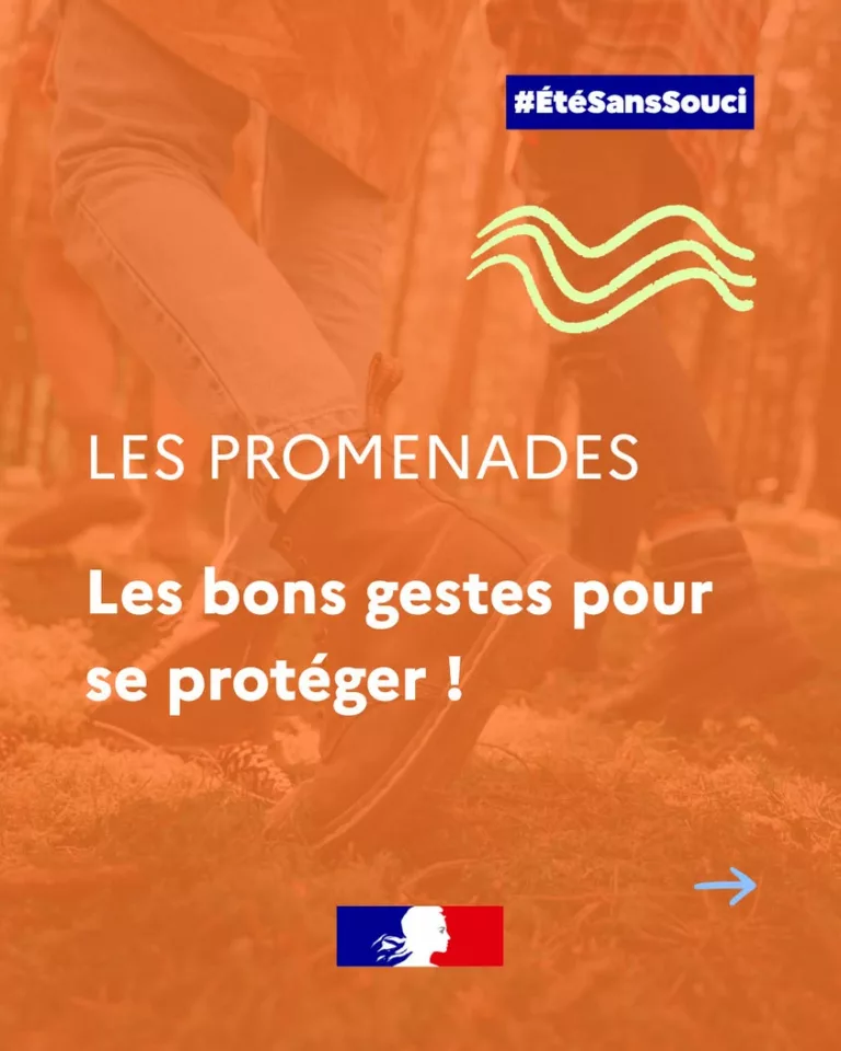 #ÉtéSansSouci ☀ | Cet été, profitez de la nature en toute sérénité ! Que ce soit en randonnée, en forêt ou dans votre ja… 